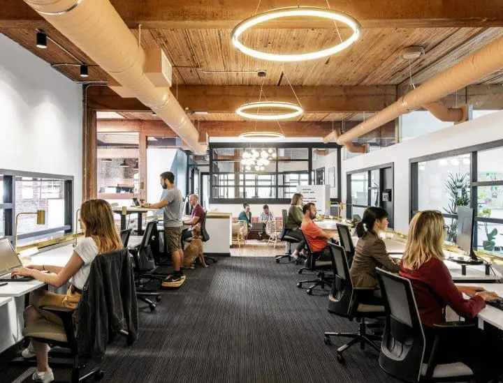 Knack Collective Interior