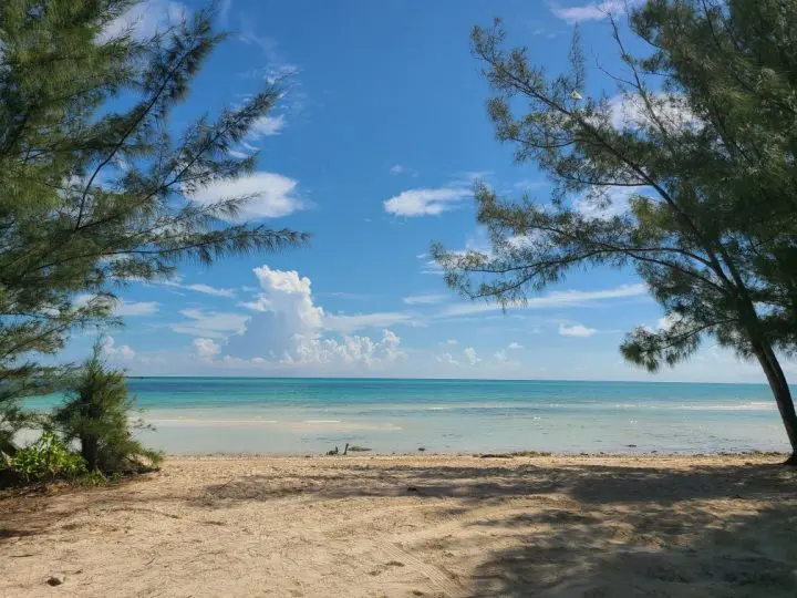 Discover Bay, Grand Bahamas